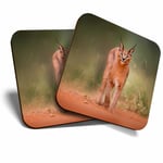 2 x Coasters - Caracal African Lynx Cat Home Gift #3170