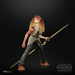 Hasbro Star Wars The Black Series Jar Binks