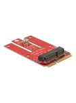 DeLOCK Mini PCIe > M.2 Key E slot