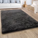 Paco Home - Tapis De Salon Poil Long Shaggy Fausse Fourrure Pelucheux Uni Gris Anthracite 120x170 cm