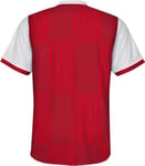 FIFA Official World Cup 2022 Classic Short Sleeve Tee, Youth, Denmark, Age 12-13 Red/White