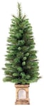 WeRChristmas 4 ft Pre-Lit Victorian Pine Christmas Tree with Timer Controlled Warm White LED Lights in a Gold Resin Pot