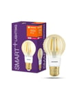 LEDVANCE SMART+ standard 55W/824 klar filament guld E27 Zigbee