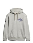 Superdry Classic Vl Graphic Hoodie Grå