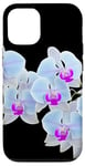 Coque pour iPhone 12/12 Pro Magnifique orchidée Phalaenopsis bleu clair Formes noires Mania