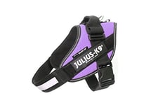 Julius-K9 IDC-Powerharness, Size 0, Purple