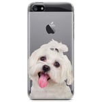 iPhone 5/5S/SE (2016) TPU Skal - Bichon Frisé