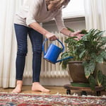 Caddie Roulant En Bois Pour Plantes En Pot, Avec Roulettes, Support Rond Pour Pot De Fleurs, Pour L'intérieur Et L'extérieur, 360 Degrés