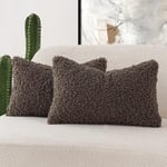 Foindtower Lot de 2 Housses de Coussin décoratives en Laine bouclée texturée en Fausse Fourrure de Mouton pour canapé, Chambre à Coucher, Voiture, 30,5 x 50,8 cm, Chocolat