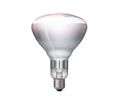 Philips 57522725, 150 W, Glödlampa, 5000 H, Vit, Glas, 230 - 250 V