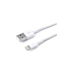 Câble USB vers Lighting compatible avec iPhone - 3 m - blanc