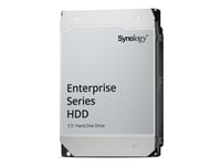 Synology Hat5310 - Hårddisk - 20 Tb - Intern