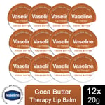 Vaseline Lip Therapy Petroleum Jelly for Dry Lips Choice of Fragrance 20g, 12 Pk