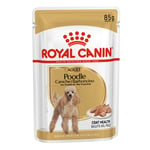 Royal Canin Poodle Adult - 24 x 85 g