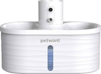 Petwant Smart Fontene/Drikker For Hunder Og Katter Petwant W4-L