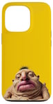 Coque pour iPhone 13 Pro Téléphone moche