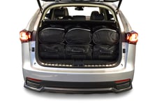 Travel vaska set Lexus NX AZ10 2015