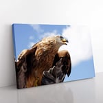 Big Box Art Golden Eagle Bird Canvas Wall Art Print Ready to Hang Picture, 76 x 50 cm (30 x 20 Inch), Multi-Coloured