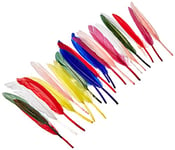 Rayher Plumes indiennes, plumes d'oie déco 10,5 cm 24 pcs couleurs ass., 8525349