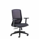 Office Hippo Executive Desk Chair, Ergonomic Home & Office Chair With Seat Slide, Lumbar Support and Adjustable Arms, Synchro Tilt Mechanism For Extra Comfort, Daily Use Computer Chair, Black