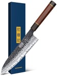 HOSHANHO 8 Inch Japanese Gyuto Chef Knife, 7 Layers VG-10 High Carbon Kitchen Knife, Professional Hand Forged Cooking Knife with Ergonomic Rosewood Handle