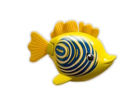 Rainbow Reef Fish - Zebra Fish