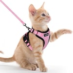 rabbitgoo Harnais Chat Anti évasion avec Laisse Rose XXS, Harnais Chaton Petit Chien Réglable, Collier Harnais et Laisses pour Chat Refléchissant Attache Dessus Gilet Respirant pour Lapin Chat Chiot