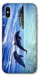 Coque pour Samsung Galaxy A10 Dauphin ile