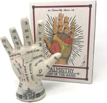 Crackle Phrenology Palmistry Porcelain Hand Palm Reading Temerity Jones Gift Box