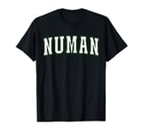 Numan Nigeria Nigerian Vacation Souvenirs Numan T-Shirt