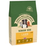 James Wellbeloved Senior Lamb & Rice - 12 kg