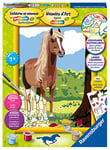 Ravensburger- Paard Peinture par numéro, 286904, trnasparent, Taille Unique