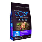 Wellness CORE Large Breed Puppy Original, Dry Puppy Food for Large Breed Puppies, Grain Free, High Meat Content, Chicken, 10 kg