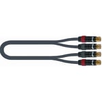 2xRCA Ma > 2xRCA Ma Gold 1m [1 pc left]