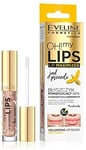 Oh My Lips Volumizing Lip Gloss Maximizer With Bee Venom And Hyaluronic Acid 4,