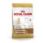 Nourriture Royal Canin Labrador Retriever Junior Petit/Junior Poulet Riz Maïs