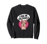 Funny Llama Confession "I Pee In The Pools" Sarcastic Humor Sweatshirt