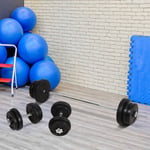 65kg Adjustable Dumbbell and Barbell Weights Set for Home Gym