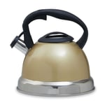 Light Gold Whistling Kettle 3.0L Stainless Steel Tea Stove Top Camping Heaters