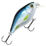 Mikado Fishunter Bold Head 4 cm vaappu Blue Bleak