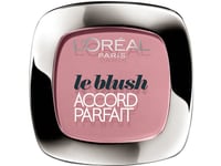 L´Oreal Paris True Match Blush 120 Santal Rose 8G