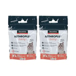 arthroplus tasty chats 2x17 g