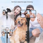 Cell Phone Tripod Mount Stand Cell Phone Camera Tripod Stand 64in Easy To Lock