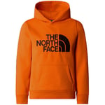 Sweat-shirt enfant The North Face  -