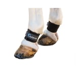 ARMA Horse Pastern Wraps (Pack of 2) ER120