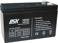 DSK 10324 - Batterie au Plomb AGM Rechargeable scellée 12V 7Ah. Idéal pour Les Voitures et Les Motos électriques pour Enfants, Scooters, systèmes UPS, systèmes de sécurité. Le Gel ne se renverse Pas