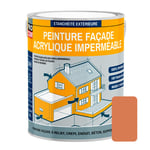 Peinture façade PROCOM crépi, façade à relief, imperméabilisation et protection des façades - Durable jusqu'à 10 ans 2.5 litres Argile (RAL 050 60 40)