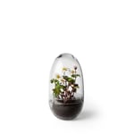 Design House Stockholm Växthus/odlingskupa Grow, Medium Transparant