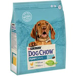 Dog Chow Purina Nourriture pour Chien Chiot, Junior, bébé au Poulet, 4 Sacs de 2,5 kg