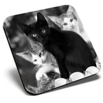 Square Single Coaster bw - Cute Kittens Black Tabby Ginger Cat  #43908